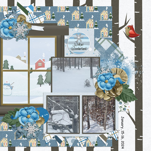 Snow Scenes - January 2014