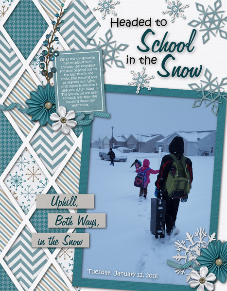 Snow School