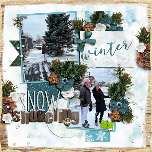 Snow Shoveling
