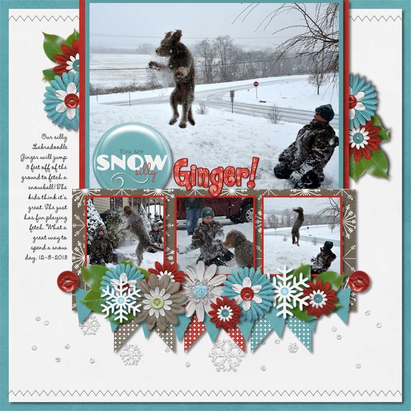 Snow Silly Ginger