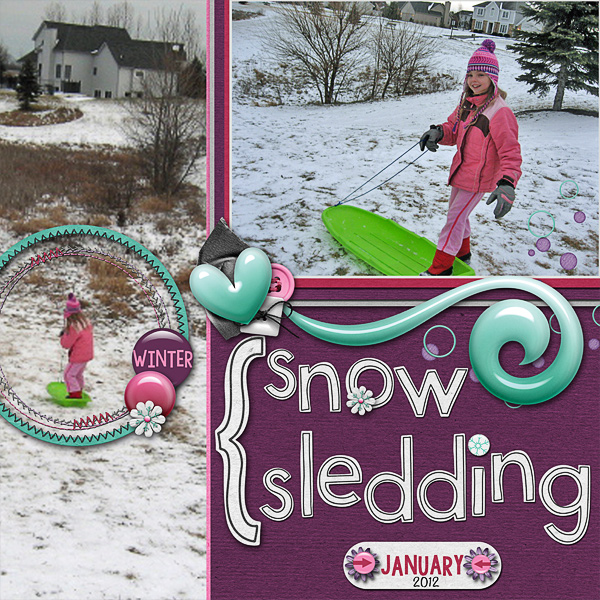 Snow Sledding
