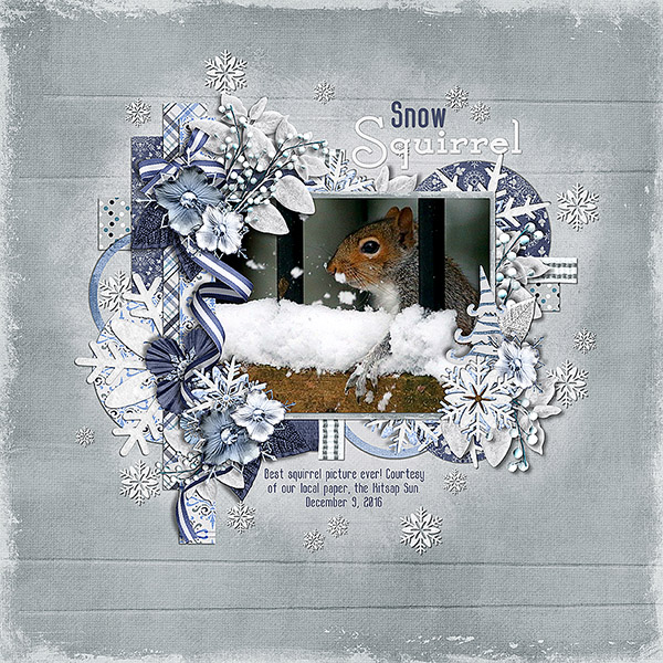 Snow Squirrel