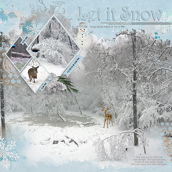 Snow Storm 2016