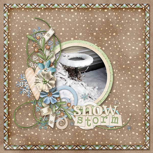 Snow Storm