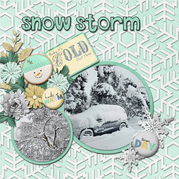 Snow Storm