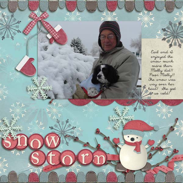 Snow Storm