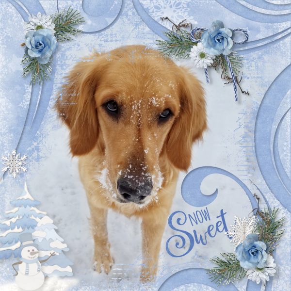 Snow Sweet