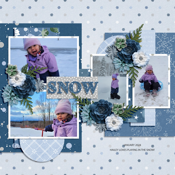 SNOW-TEMP1- 1-25