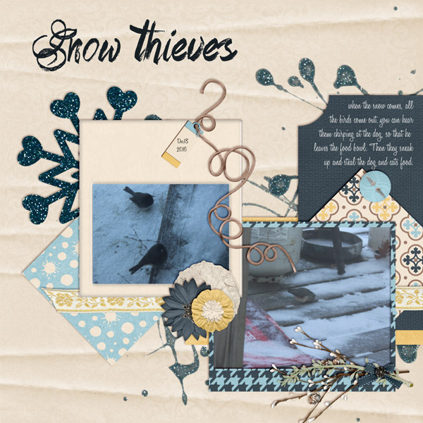 snow theives