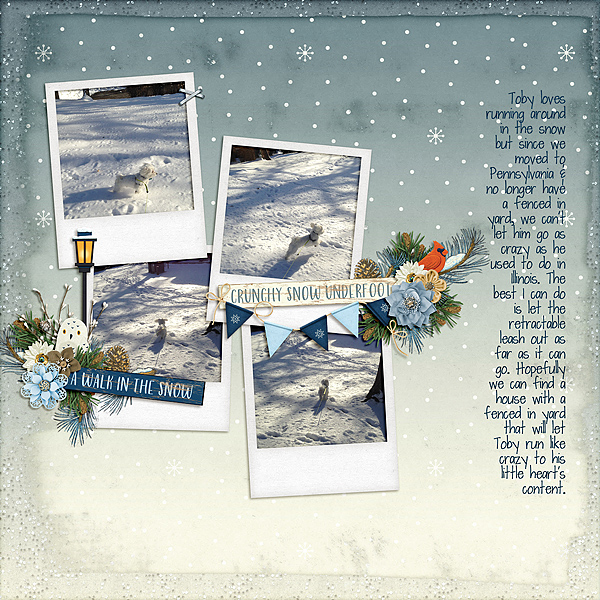 Snow Walk