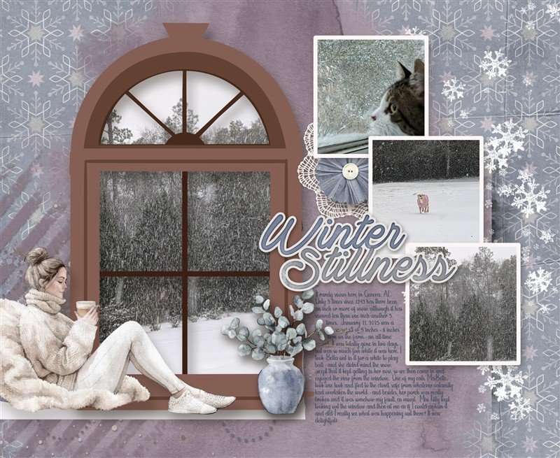 Snow Window