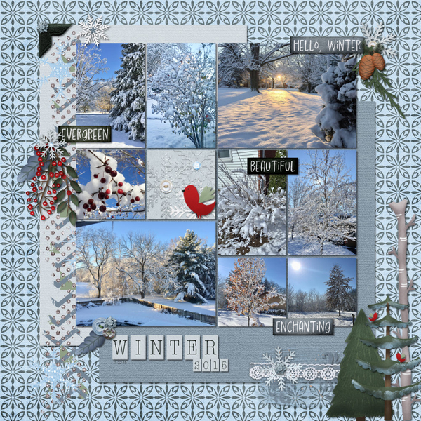 Snow Winter 2015