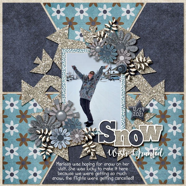 Snow Wish