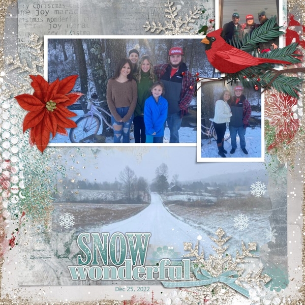Snow Wonderful