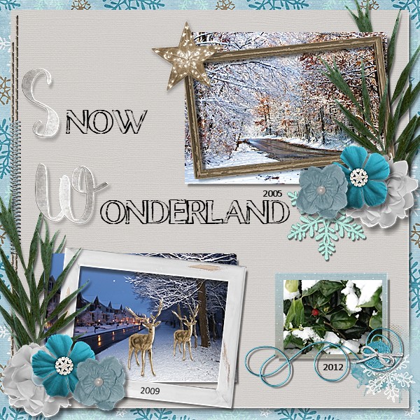 Snow Wonderland