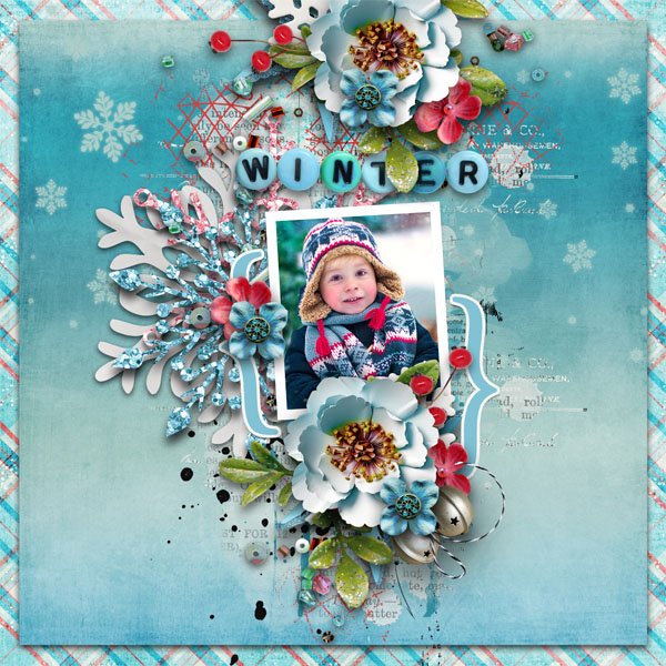 Snow Wonderland