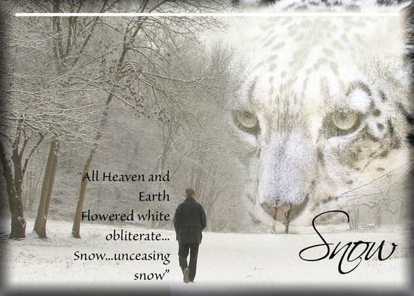 Snow