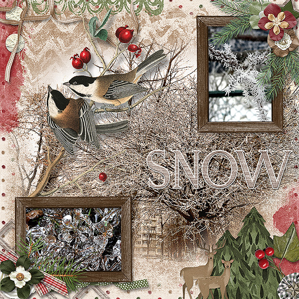 Snow