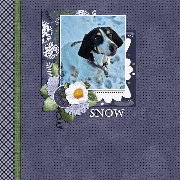 snow