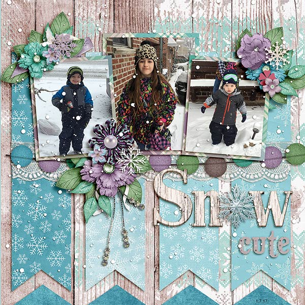 snow2017