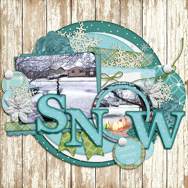 Snow36