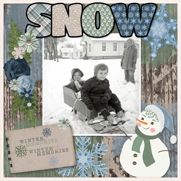 Snow49