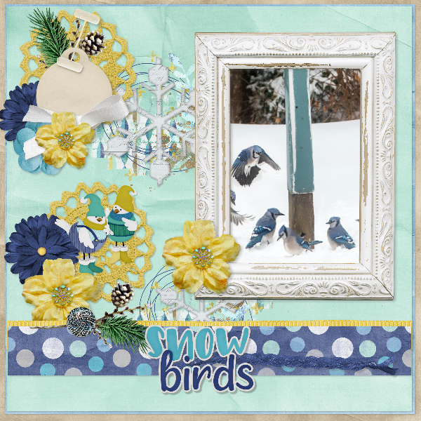 snow_birds1
