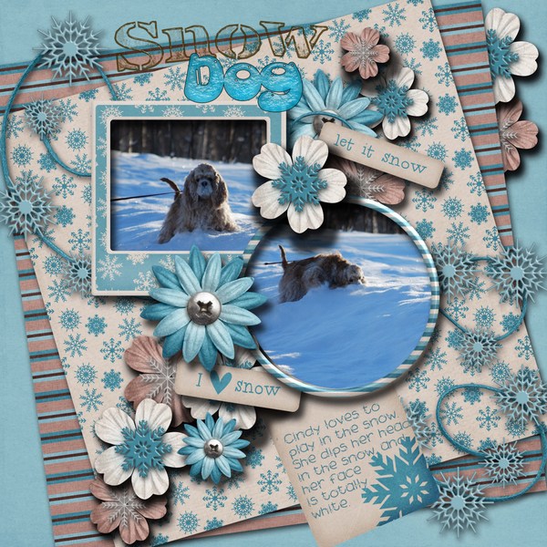 Snow_dog