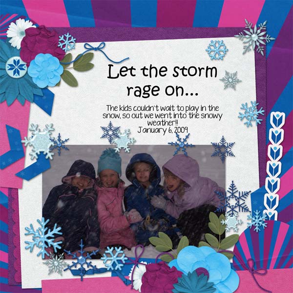 snow_storm_jan_6_2009_web