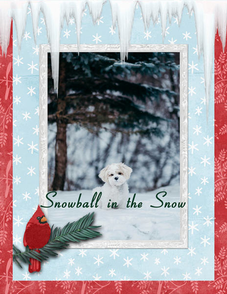 Snowball in the Snow