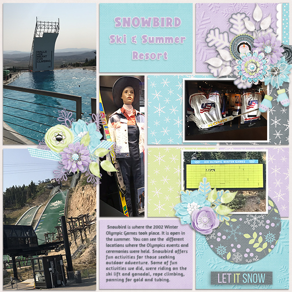Snowbird Ski Summer and Winter Resort