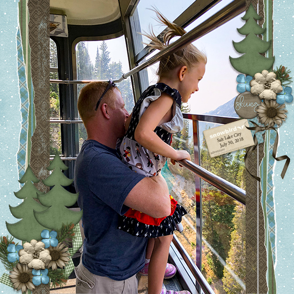 Snowbird