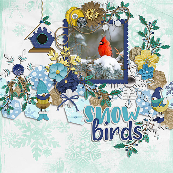 snowbirds