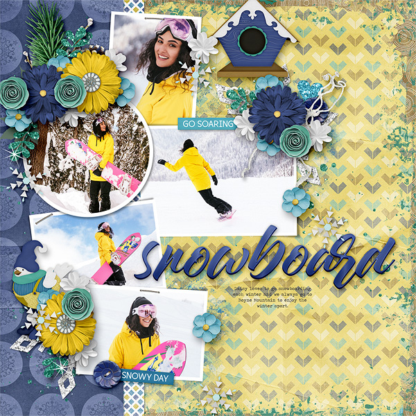 Snowboard