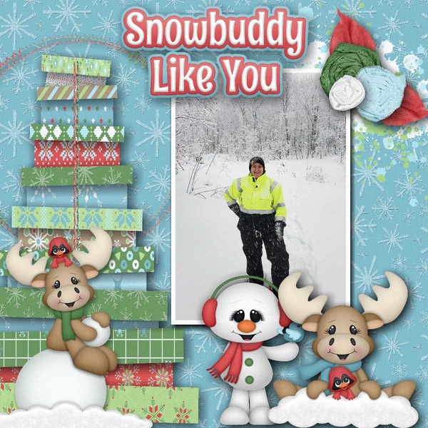 Snowbudy Like You