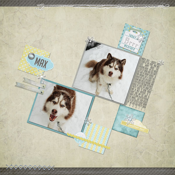 Snowdog 3.13