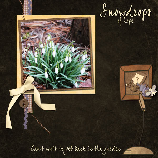 Snowdrops