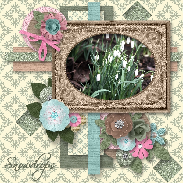 Snowdrops