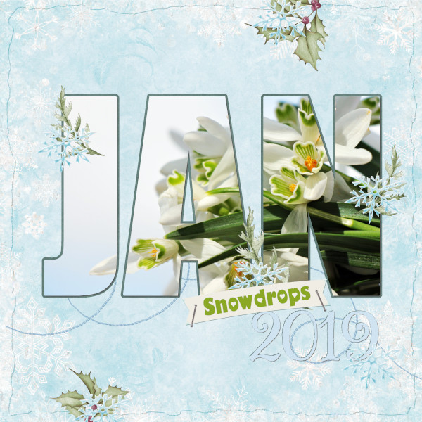 Snowdrops