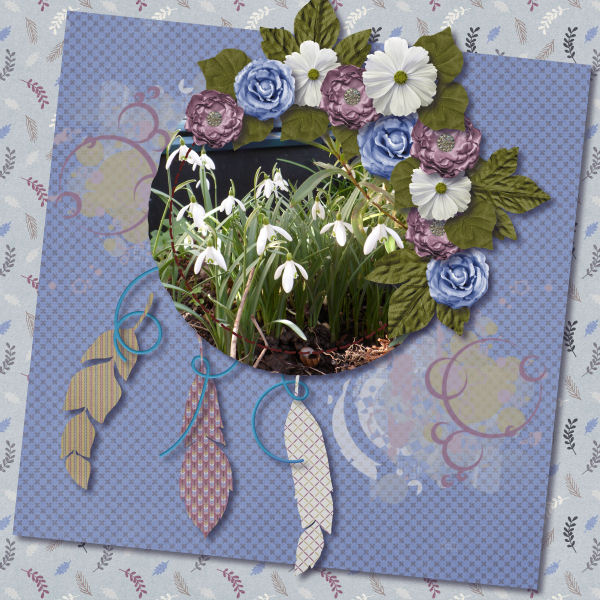 Snowdrops