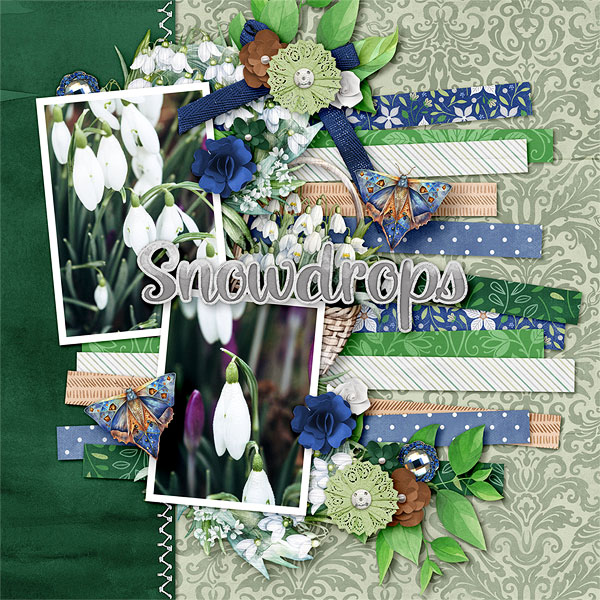 Snowdrops