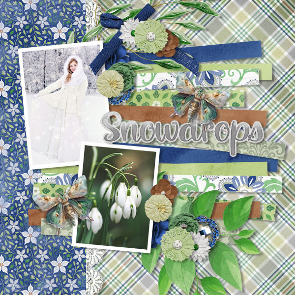 Snowdrops