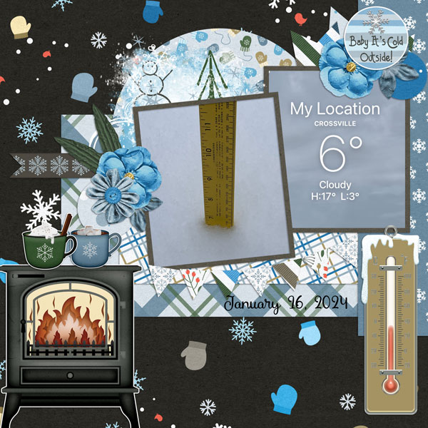 Snowed In-January 2024