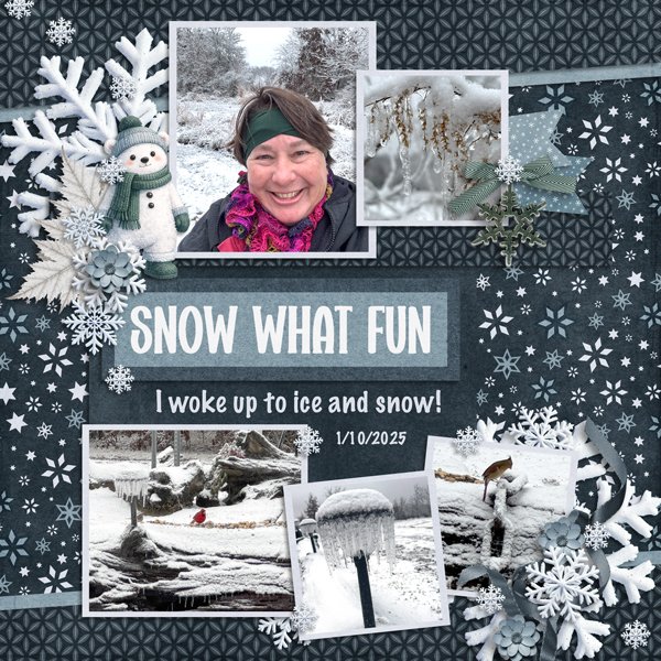 Snowed-In-mini-the-jive-Five-vol-11-2
