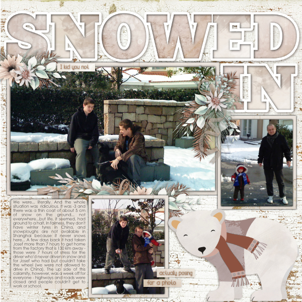 Snowed In