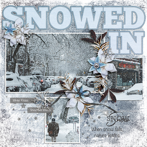 Snowed In