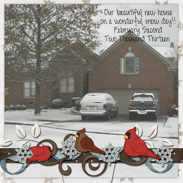 snowfall in Franklin