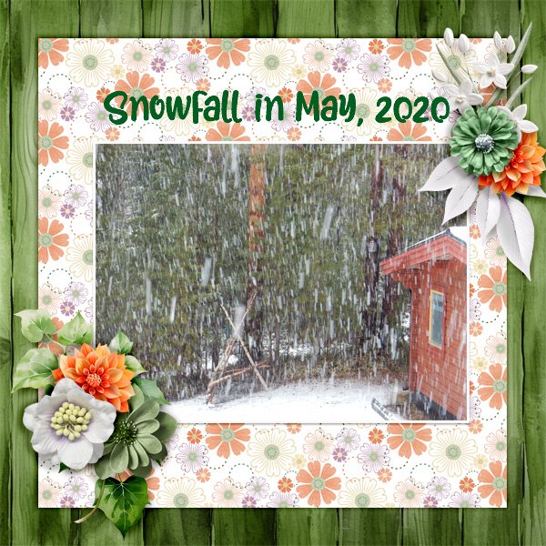 Snowfall-in-May.jpg