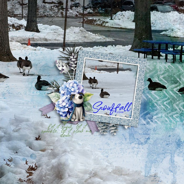 Snowfall.jpg