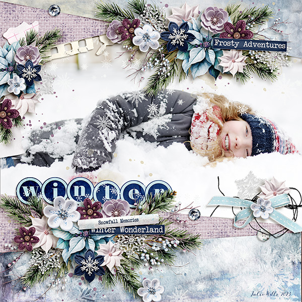 snowfall memories